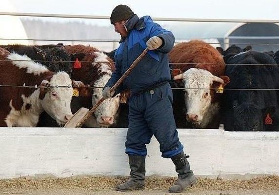 Бизнес план крестьянского хозяйства в казахстане