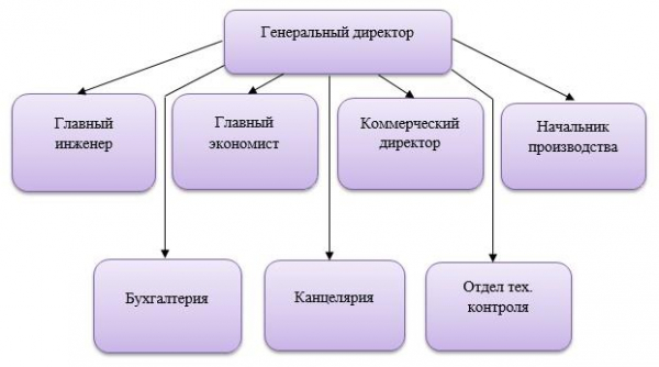 Характер и структура бизнеса