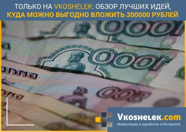 Бизнес на 300000 рублей варианты