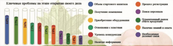 Примеры бизнеса с нуля