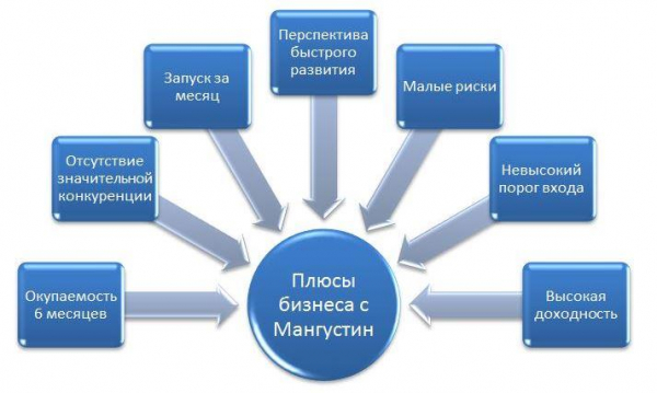 Бизнес аппараты для продажи