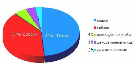 Гостиница для домашних животных бизнес