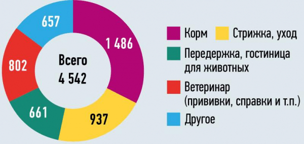 Гостиница для домашних животных бизнес