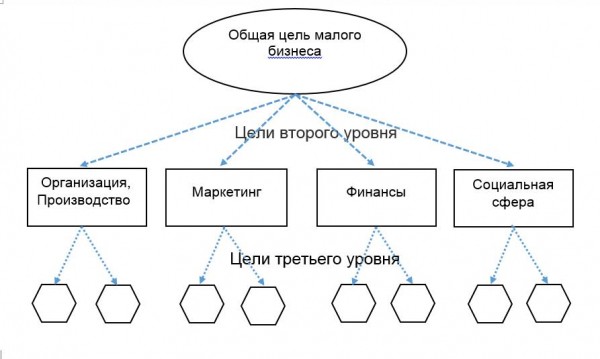 Виды бизнесов и цели