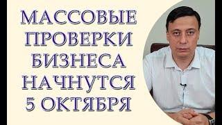 Проверки бизнеса в 2019 году