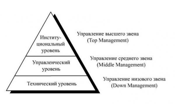 Бизнес процессы в организации