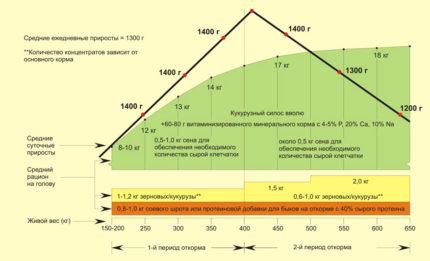 Выращивание мяса как бизнес