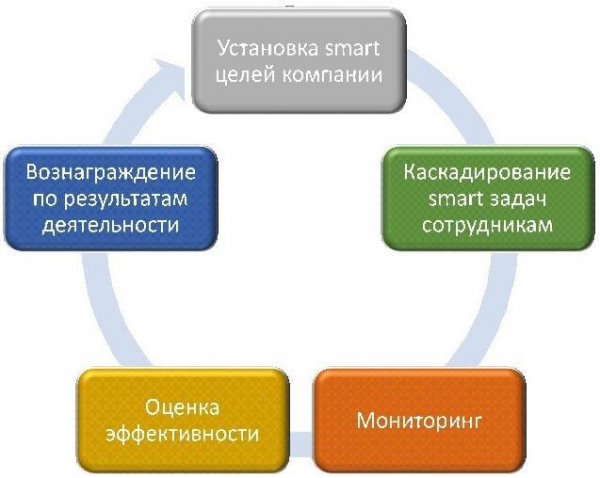 Примеры цели и задачи бизнеса